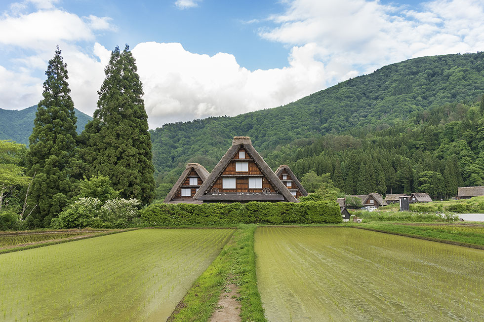 Farm House in Japan